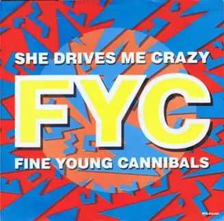 Fine young cannibals - young,