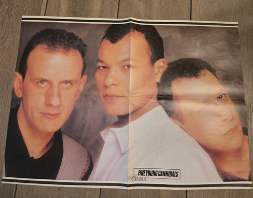 Fine young cannibals - young,