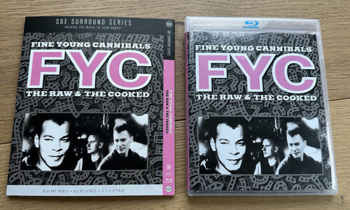 Fine young cannibals the raw - fine,