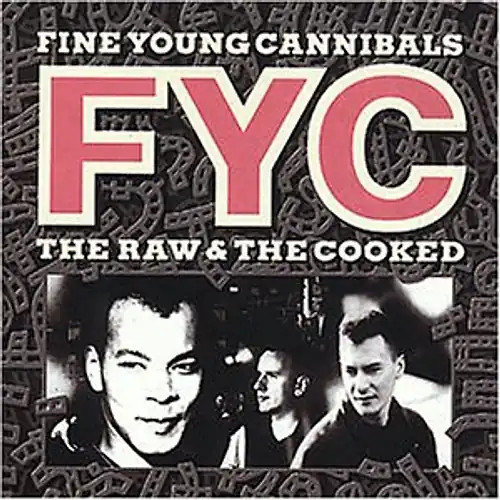 Fine young cannibals - young,